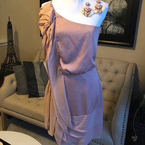 Like New BCBG cocktail dress w statement earrings.